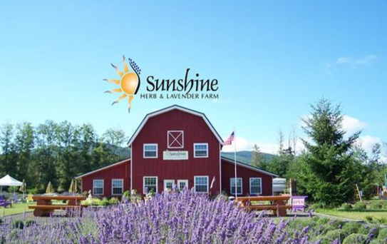 fields with barn in back